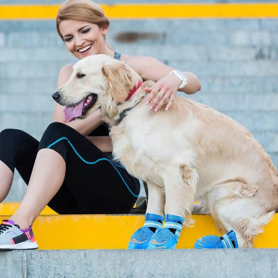 Botas para perro