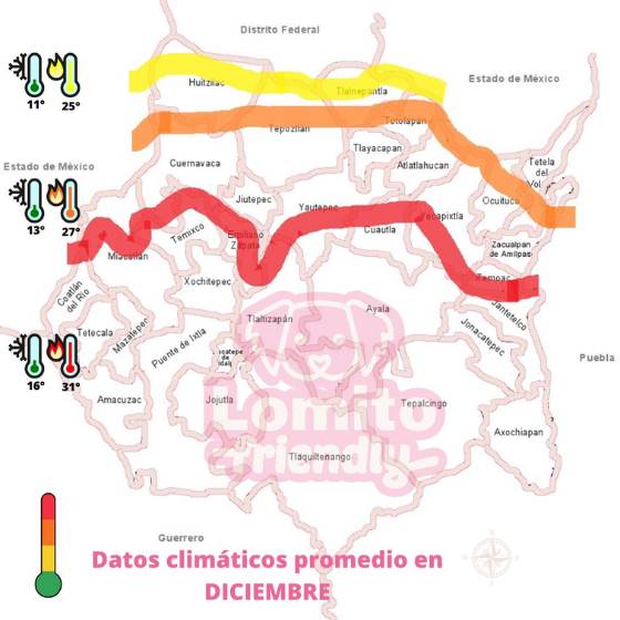 Temperaturas promedio en Cuernavaca pet friendly