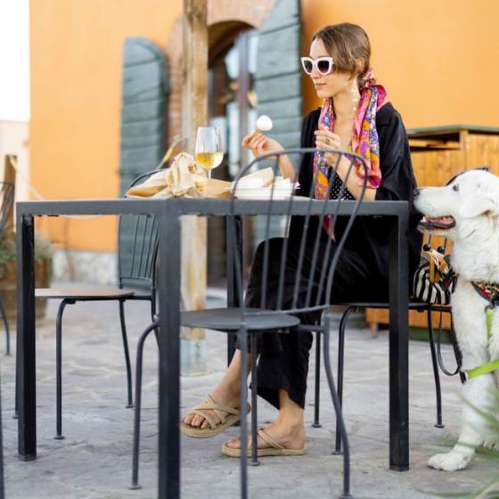 Disfrutando el vino y la gastronomía en San Miguel de Allende pet friendly