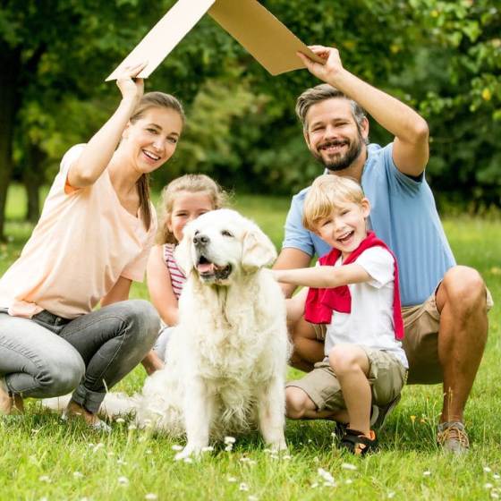 Elabora un plan de evacuación que incluya a tu mascota 