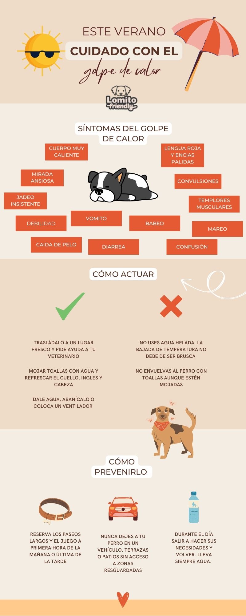 Golpe de calor en perros, todo lo que tienes que saber